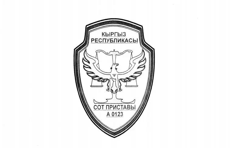 На нагрудные жетоны для судебных приставов потратят треть миллиона сомов