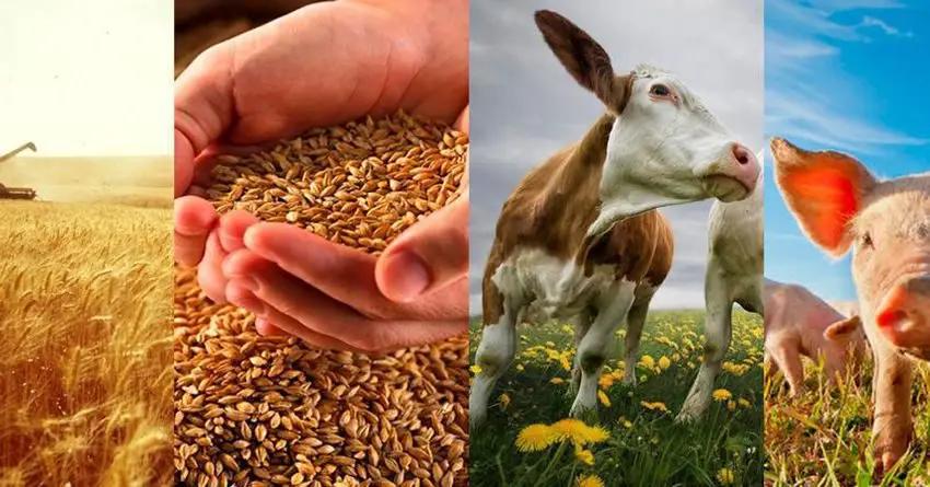 В 2022 году по проекту «ФСХ-10» фермеры получили кредитов на 4.7 млрд сомов