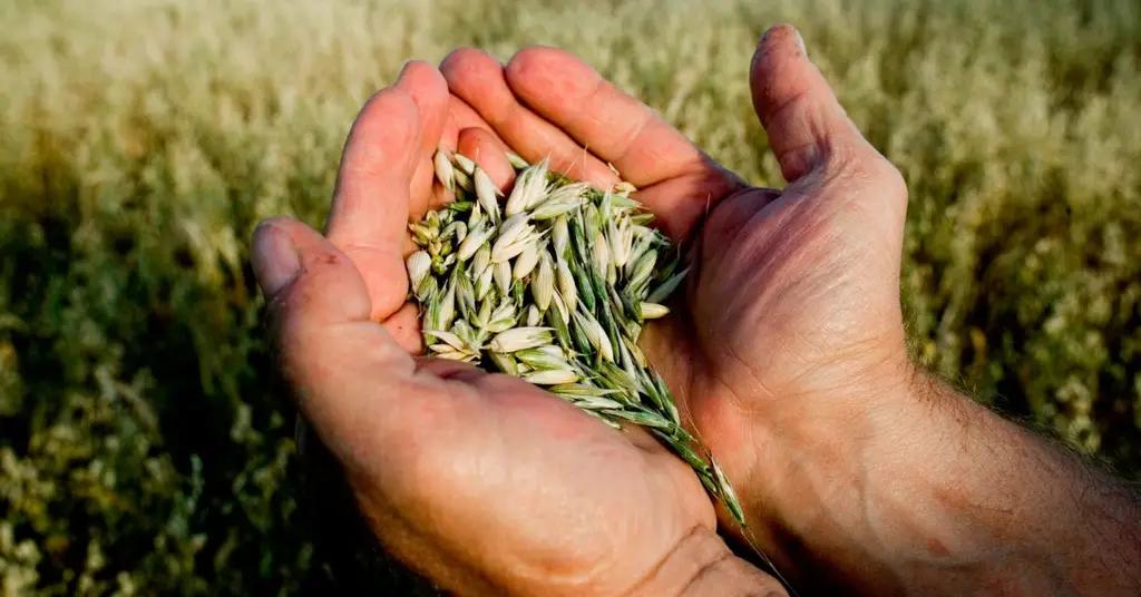 Доходы кыргызстанцев от ведения подсобных хозяйств упали на 15%