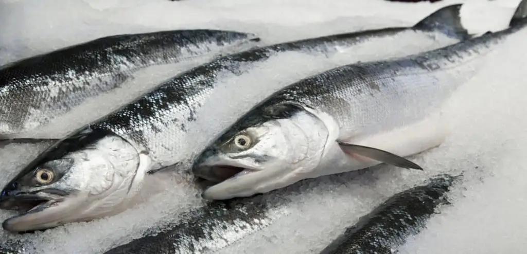 В КР попытались ввезти 20 тонн замороженной рыбы