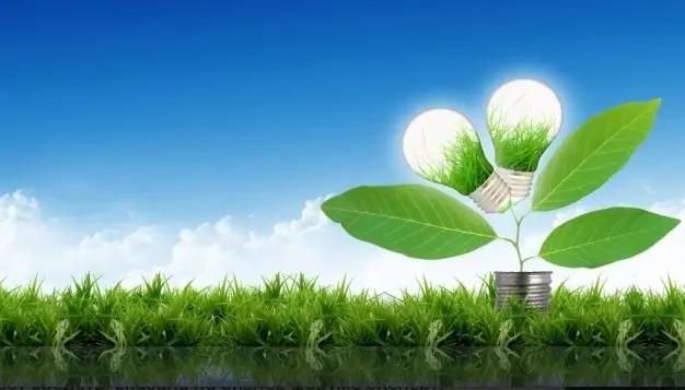 Минэконом: КР использует 95% ресурсов зеленой экономики