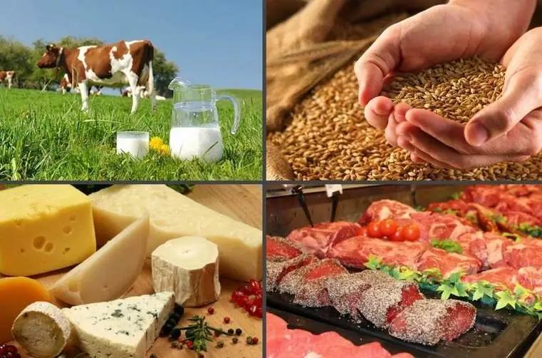 В КР производство сельскохозяйственной продукции увеличилось на 0.8%