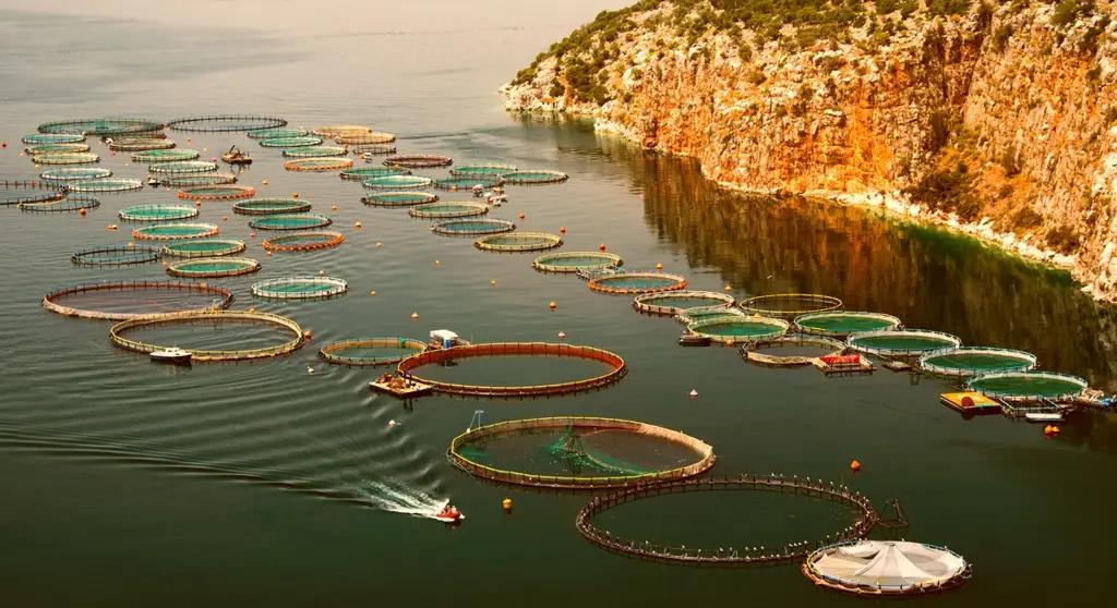 За 10 лет потери сельского хозяйства Азии достигли $207 млрд