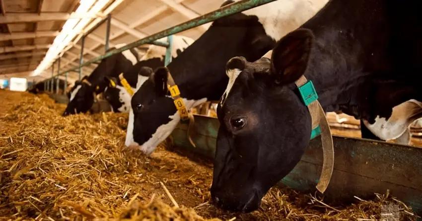 Объем льготного кредитования фермеров КР приближается к 5 млрд сомов