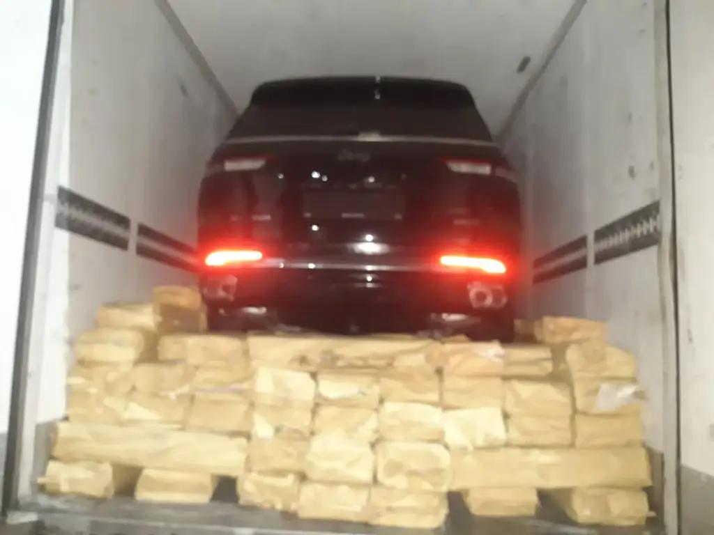 Из России в КР пытались провезти 21 тонну рыбы, не соблюдая нормы