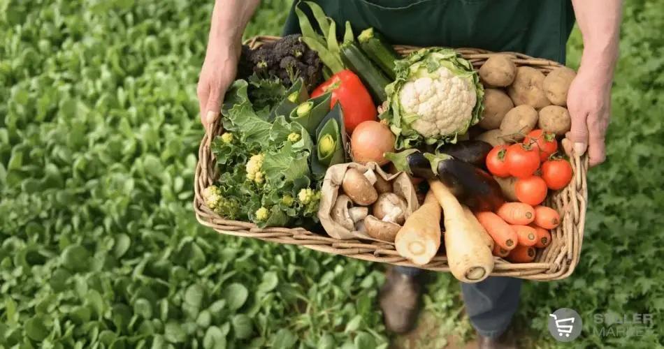 Кыргызстан будет продавать сельхозпродукцию онлайн