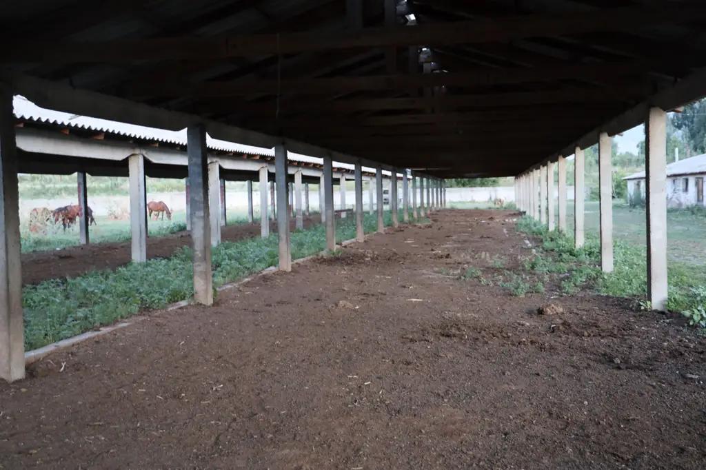 Бакыт Торобаев провел совещание по улучшению работы «Станции Элита»