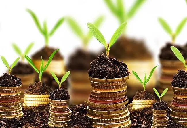 Минфин выделил банкам только треть средств на кредиты в рамках ФСХ