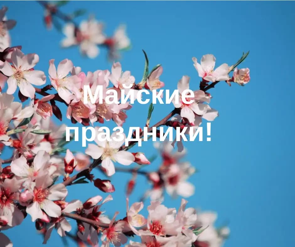 Пострадала ли российская экономика от майских праздников. Ответ экономистов