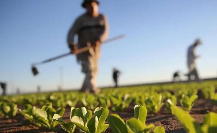 Фермеров на три года освободили от уплаты земельного налога