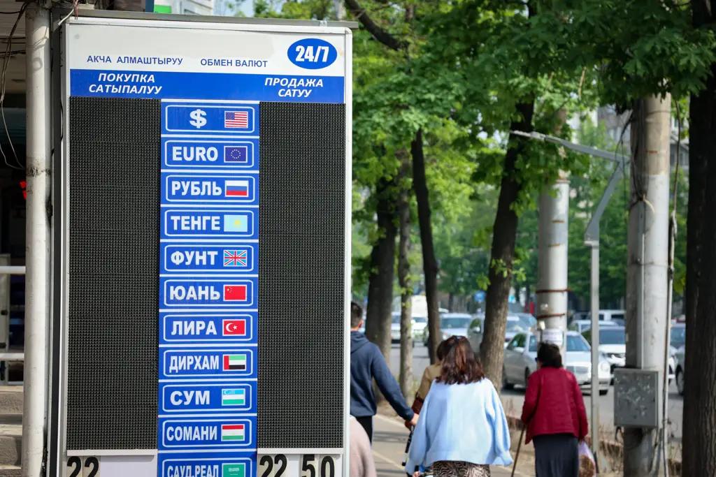 Сом просел ко всем основным валютам, кроме рубля. Курс НБ КР на 31 мая
