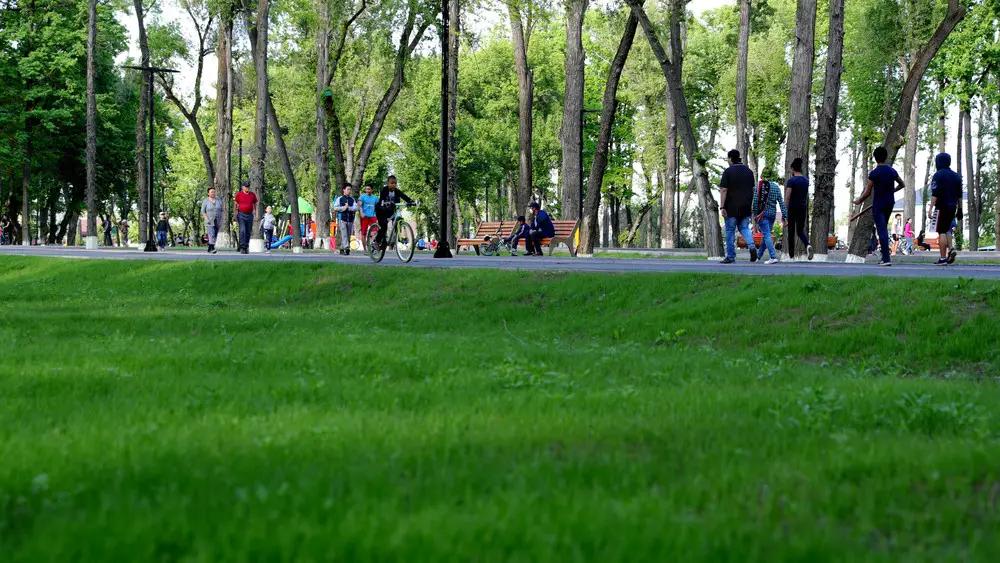 В Джалал-Абаде чиновники продали парковых земель на 259 млн сомов