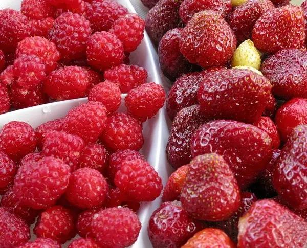 В Новосибирск не пустили более 20 тонн сливы и ягод из КР