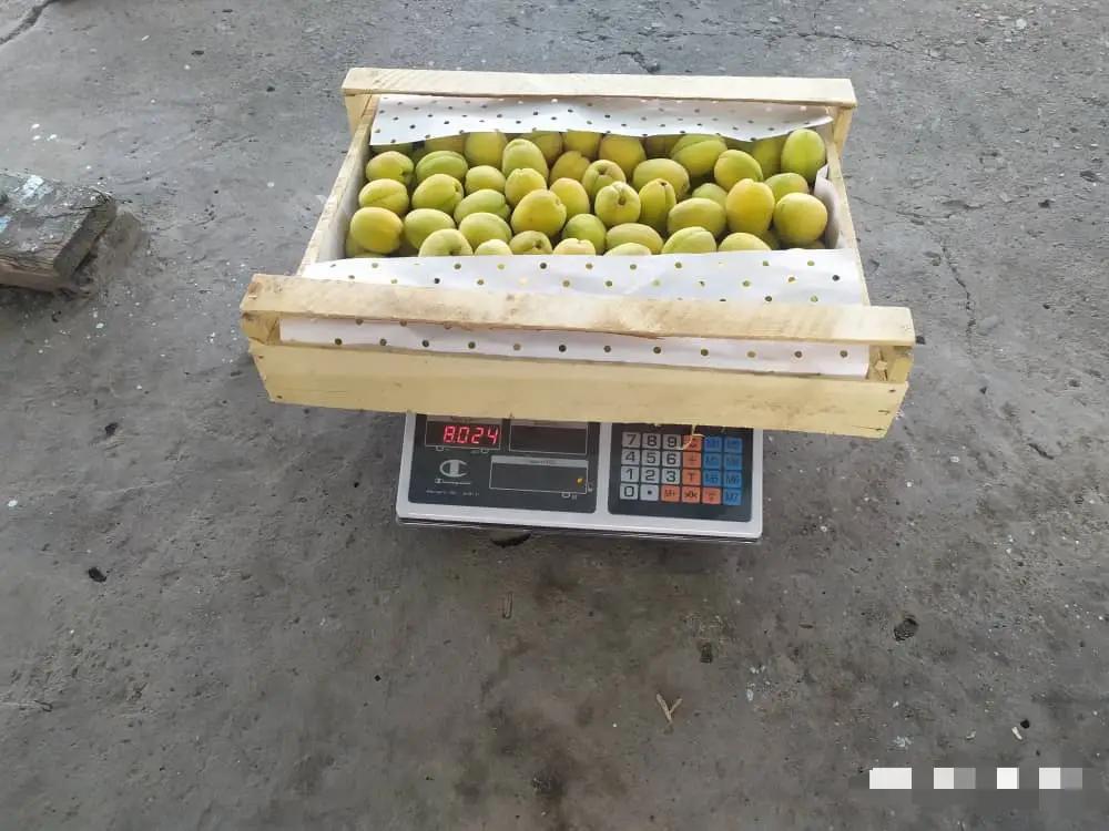 Сотрудники ГТС выявили контрабанду на 76.9 тысячи сомов