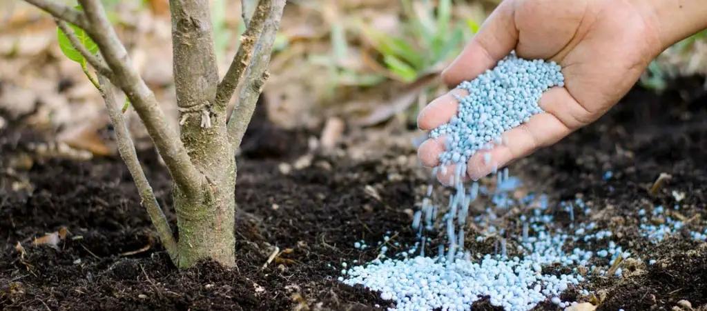 В КР ввезено 41.9 тысячи тонн минеральных удобрений