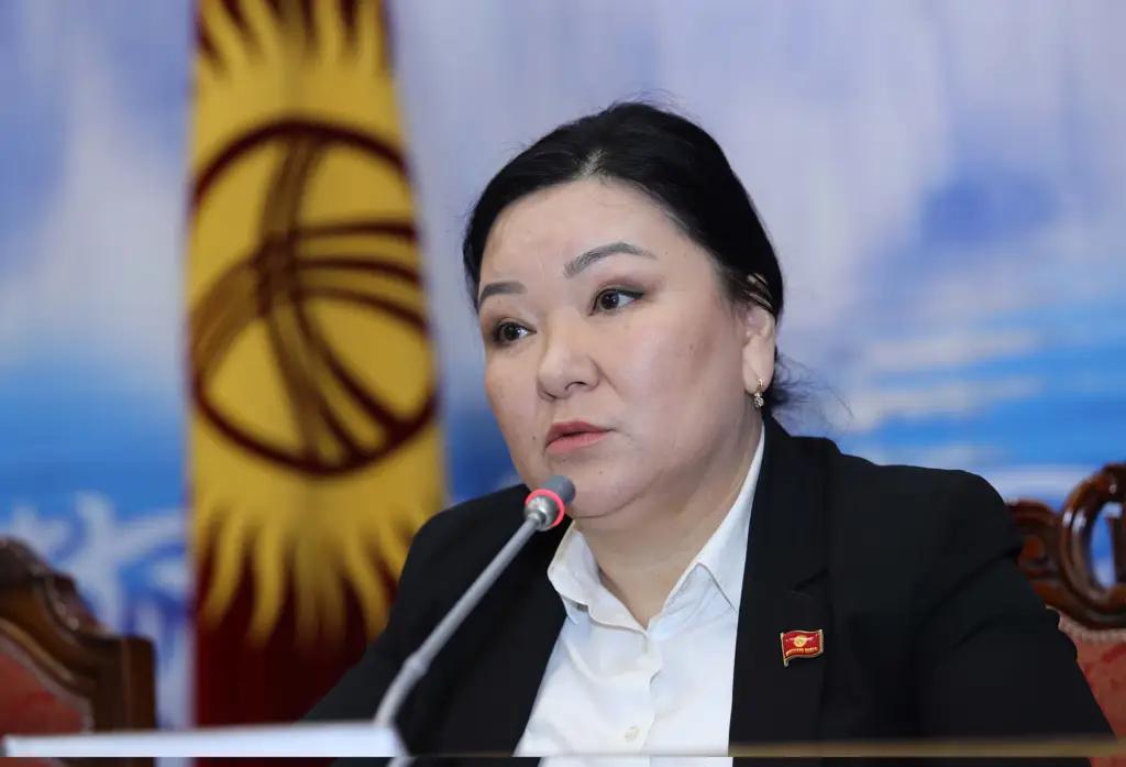 Международная ассоциация развития вложит $56 млн в развитие Ошской области