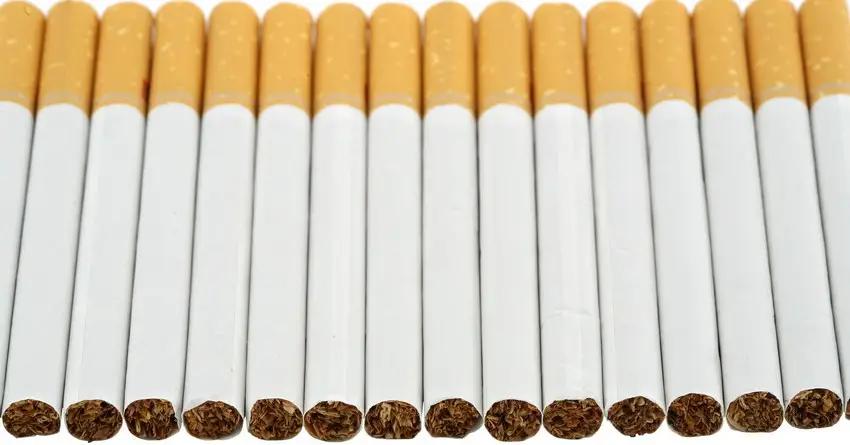 В Кыргызстане для пополнения бюджета установят минимальную стоимость пачки сигарет в 40 сомов