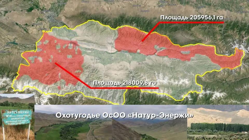 Охотничьи угодья, связанные с Кольбаевым, возвращены государству
