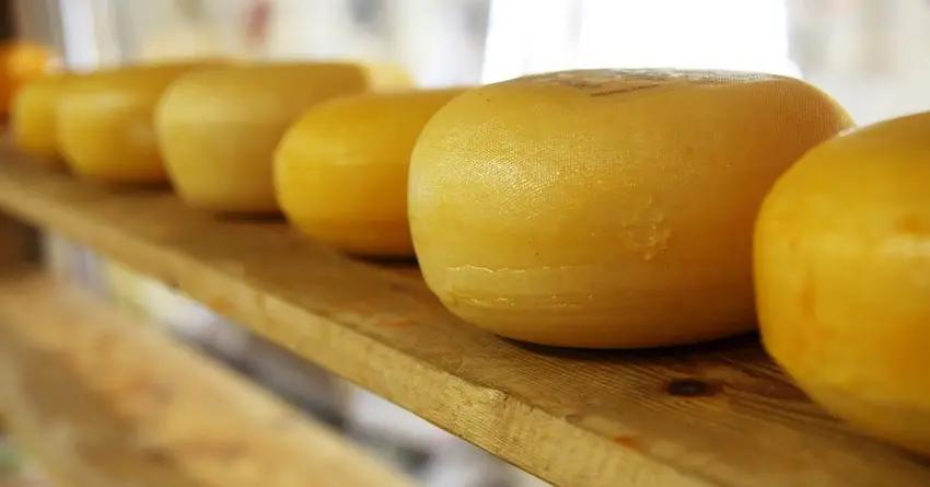 Сыроваренную компанию «Сут Булак» выкупил швейцарский инвестор