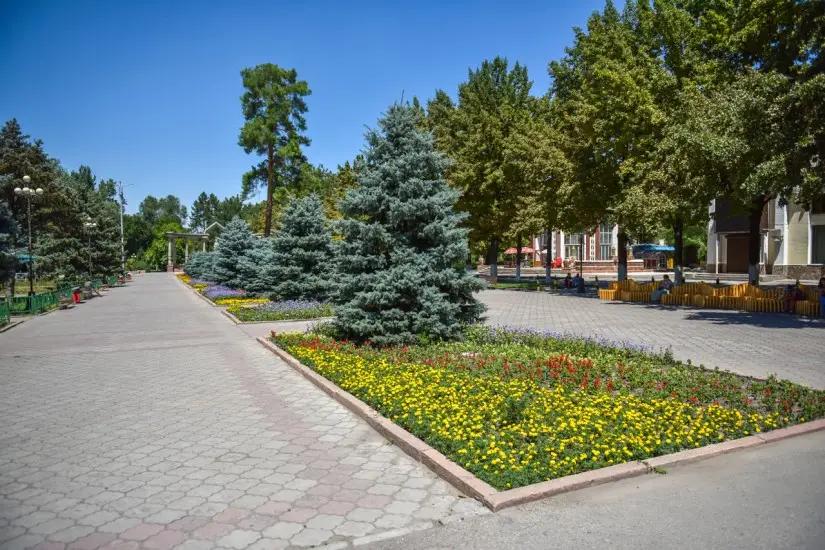 Тяжелый понедельник: Бишкекзеленхоз объявил тендер на 1.6 трлн сомов