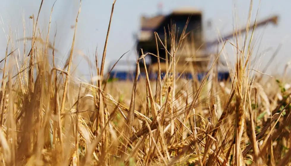 В декабре 2023 года фермерам выдано больше тысячи техники