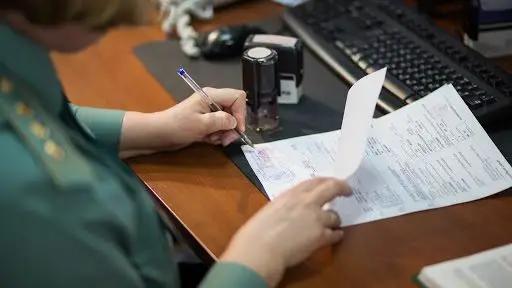 В ноябре поступления сборов Гостаможни в бюджет снизятся на 82.2%