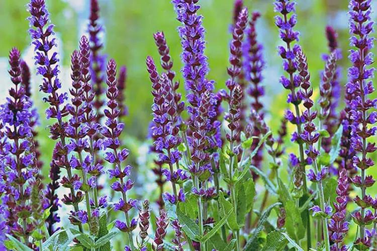 Государству нанесен ущерб в размере 7.2 млн сомов