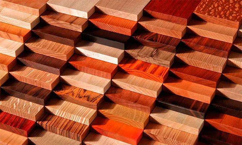 В КР продлили запрет на вывоз древесины