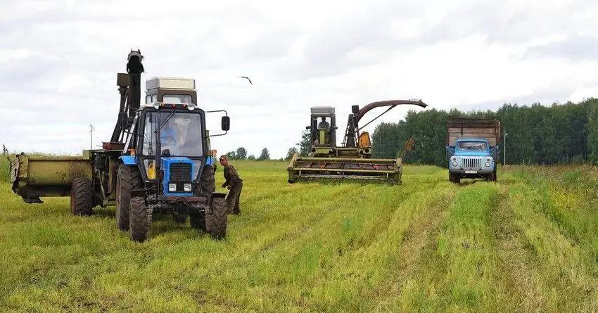 В ЕАЭС произведено сельхозпродукции на сумму $56.7 млрд