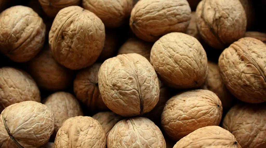 Фермеры должны научиться фасовать орехи, чтобы продавать дороже