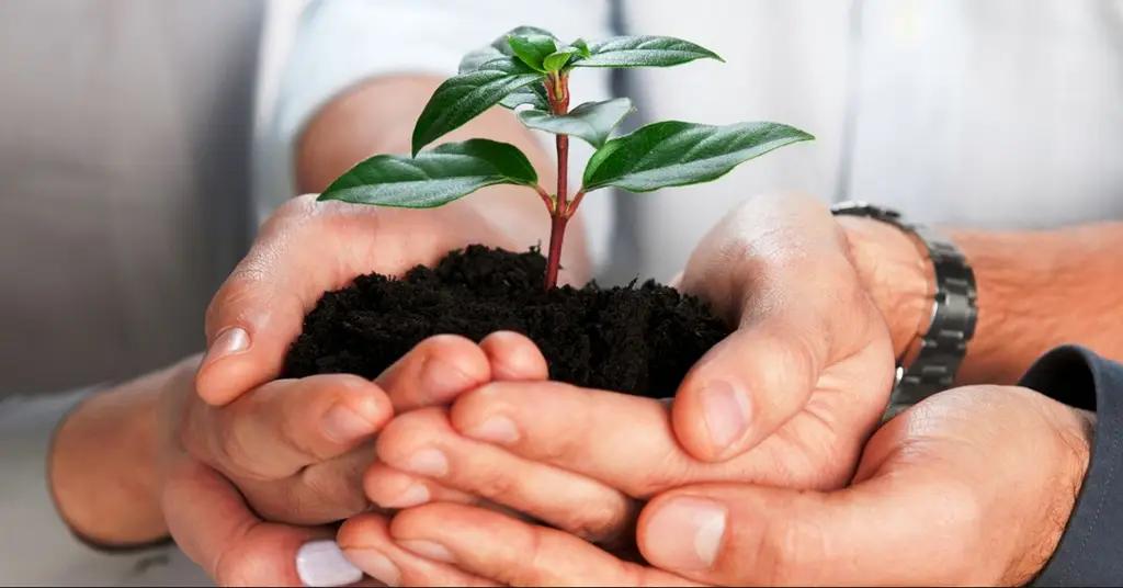 ЕБРР и правительство Швейцарии выделили €6 млн на развитие малого бизнеса Кыргызстана и Таджикистана