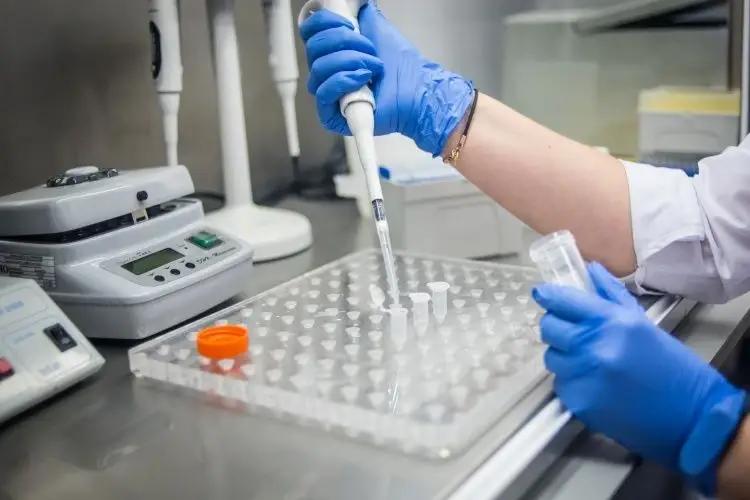 В лаборатории выявили карантинные вредные организмы