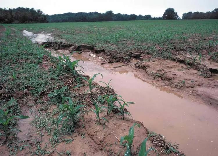 Фермеров обяжут страховать имущество от стихийных бедствий