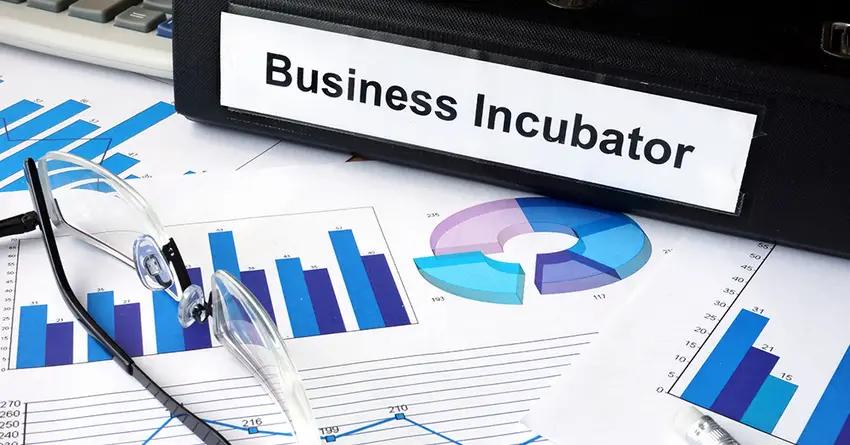 В каждом районе Узбекистана планируют создать по бизнес-инкубатору