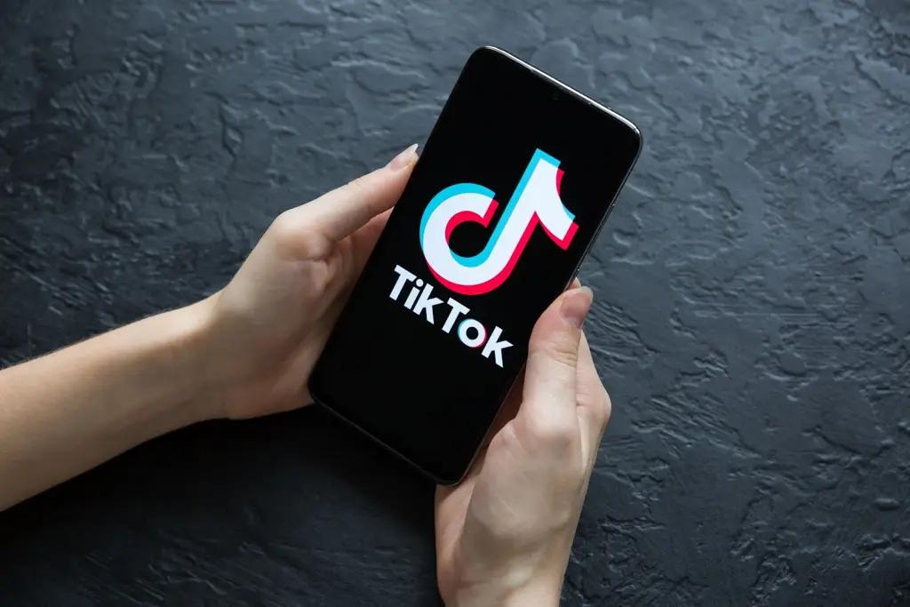 В Кыргызстане приняли решение закрыть TikTok