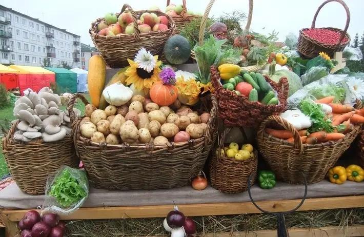 В 2022 году цены на сельхозпродукцию выросли на 15.5%