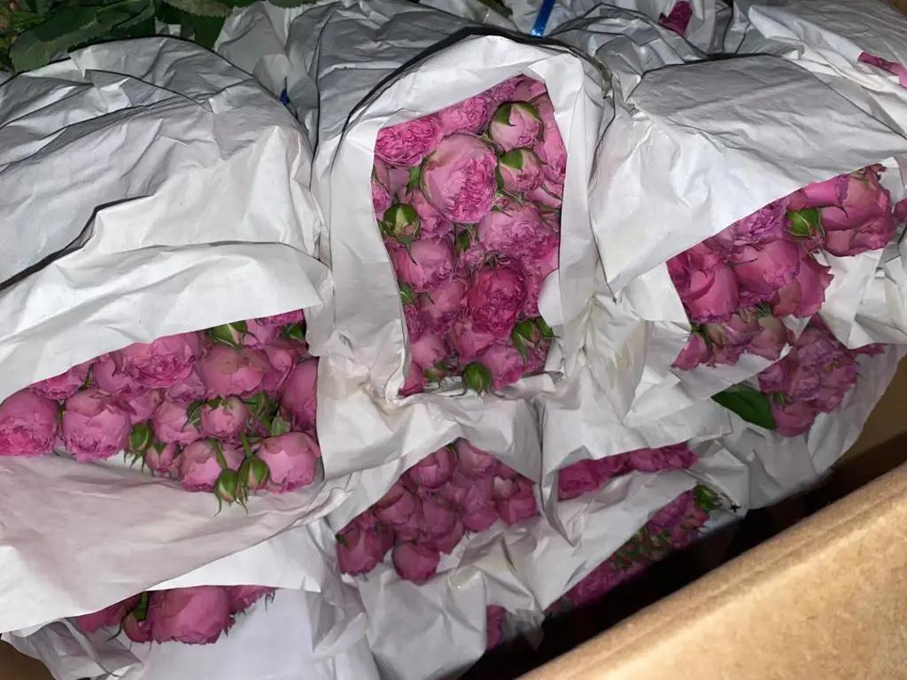 В Оше пресечена попытка незаконного ввоза более 3 тысяч роз