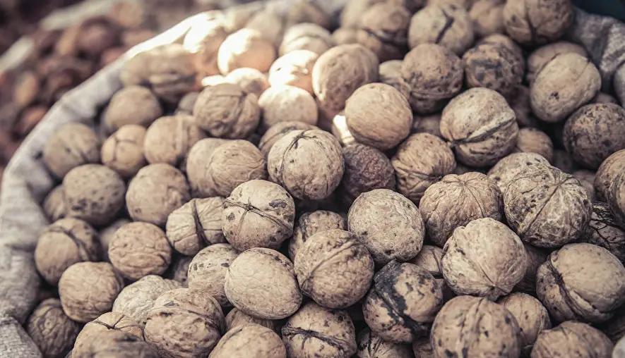 Россия вернула в Кыргызстан орехи