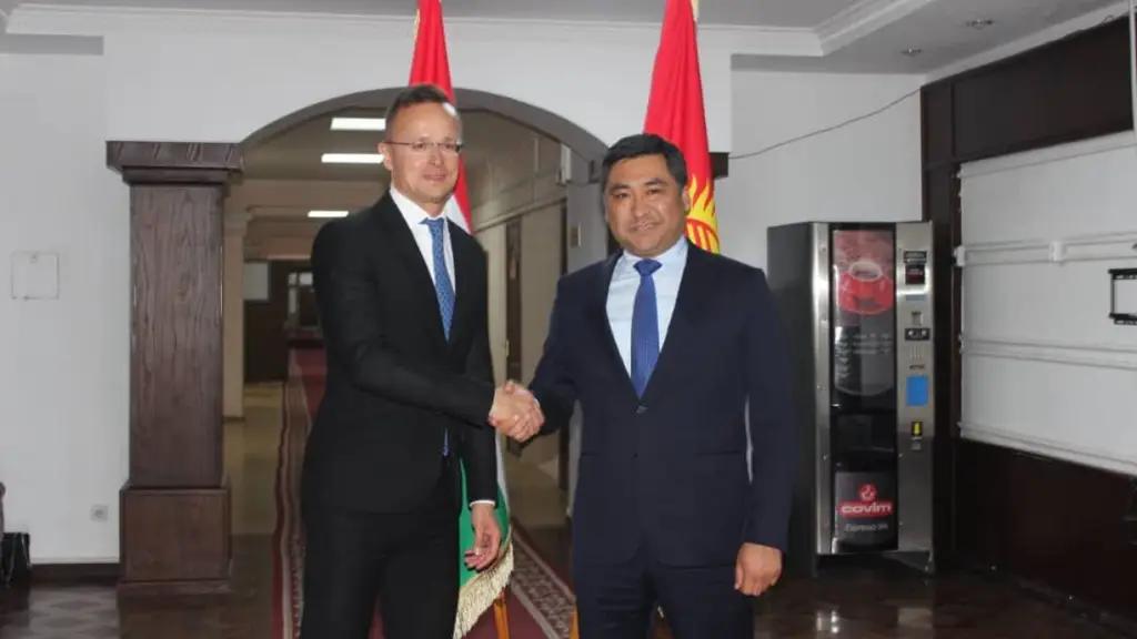 Венгрия планирует поставлять в КР крупный рогатый скот и банкоматы