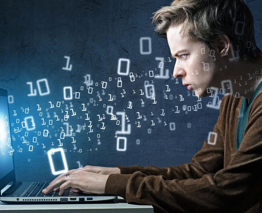 В Кыргызстан прибыло более 600 иностранных айтишников