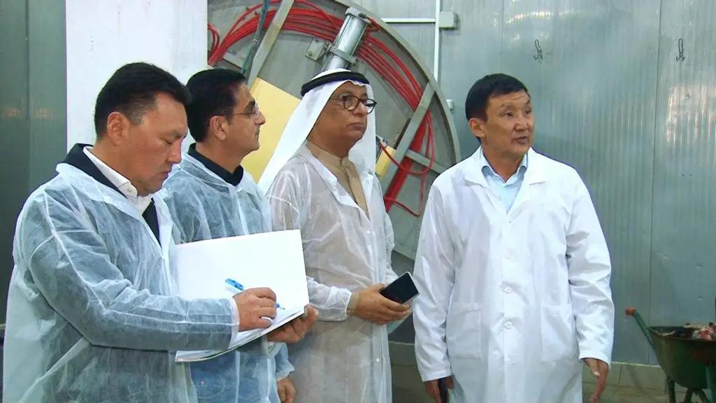 Компания из КР будет поставлять мясо в ОАЭ