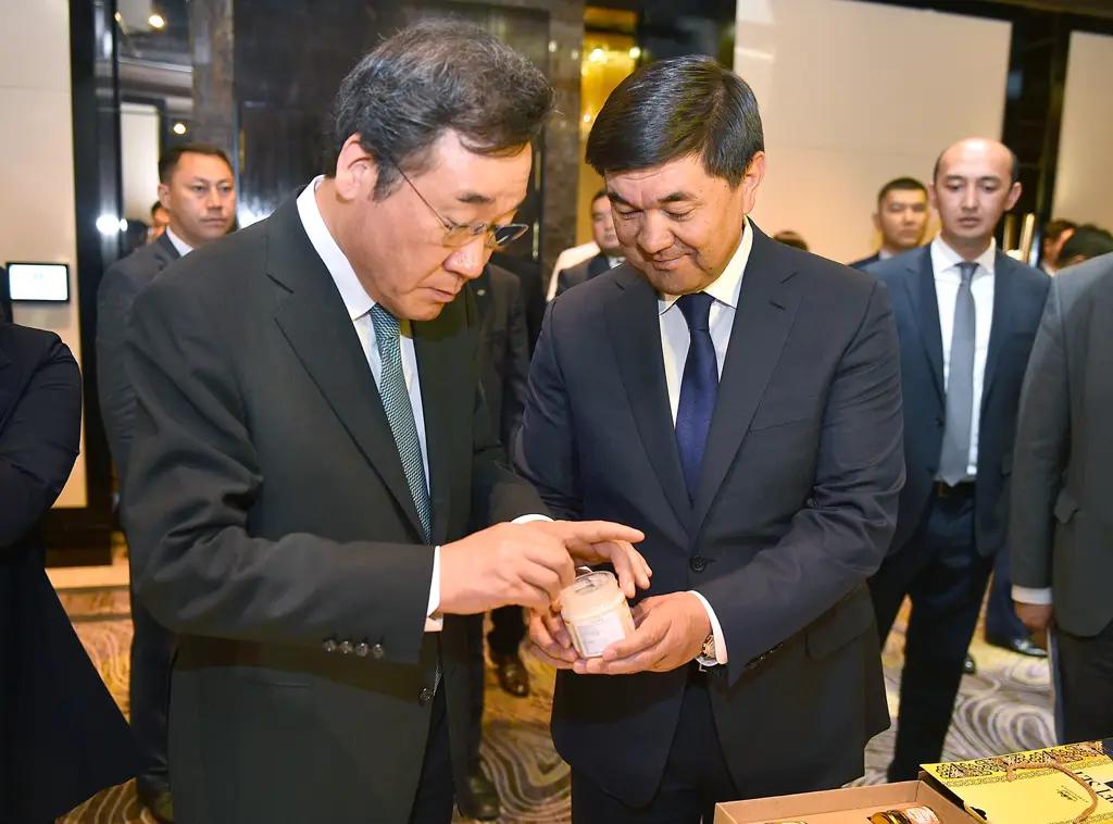 Очередной грант и проекты на $20.5 млн. Что еще получит Кыргызстан?