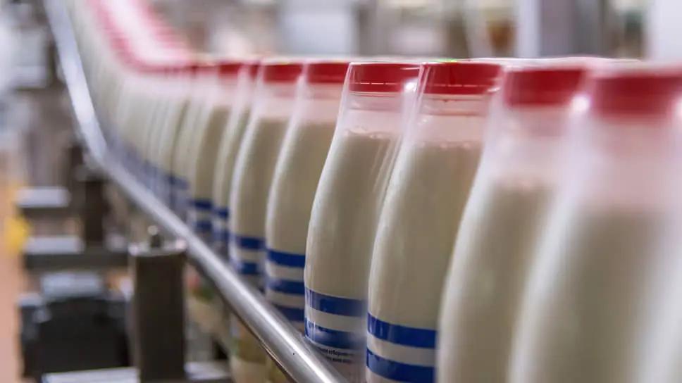 За пять месяцев экспорт молочной продукции в ЕАЭС вырос в 2.5 раза