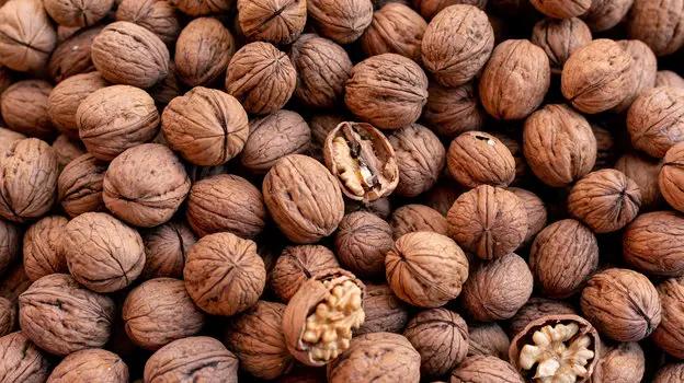 Теперь Кыргызстан будет экспортировать грецкие орехи в Китай