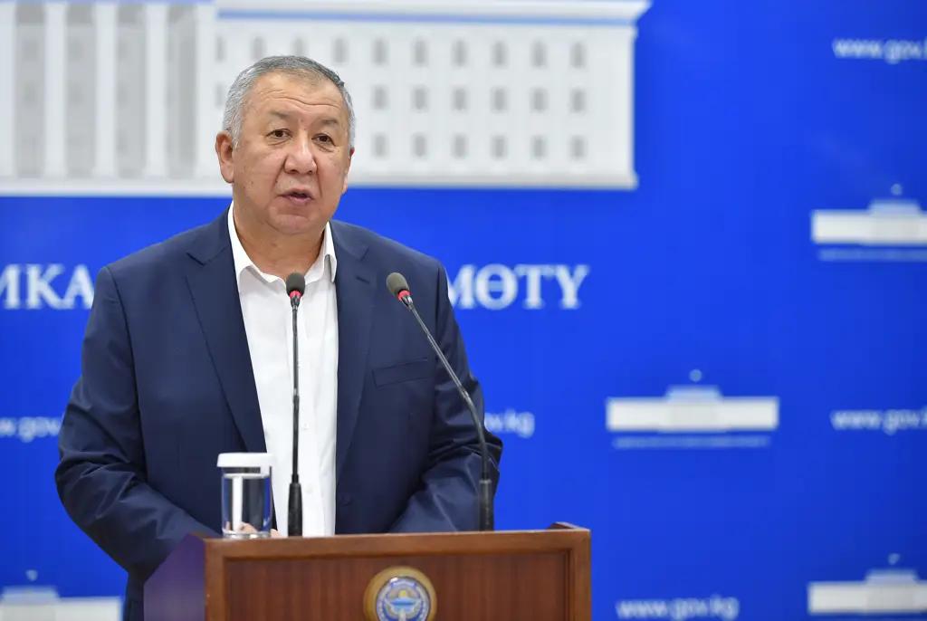 Фискализация таможенных и налоговых процедур в приоритете — премьер-министр