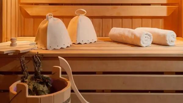 В НЭСК предложили бани, сауны перевести на альтернативные источники энергии
