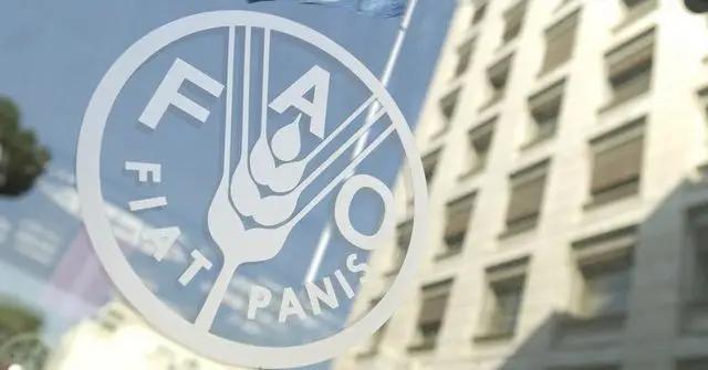 Продовольственная программа ООН продолжит работать в Кыргызстане