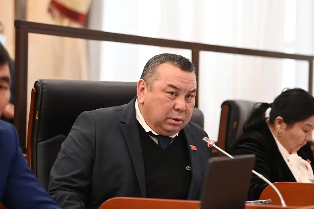 Балбак Тулобаев предлагает восстановить Экотехинспекцию