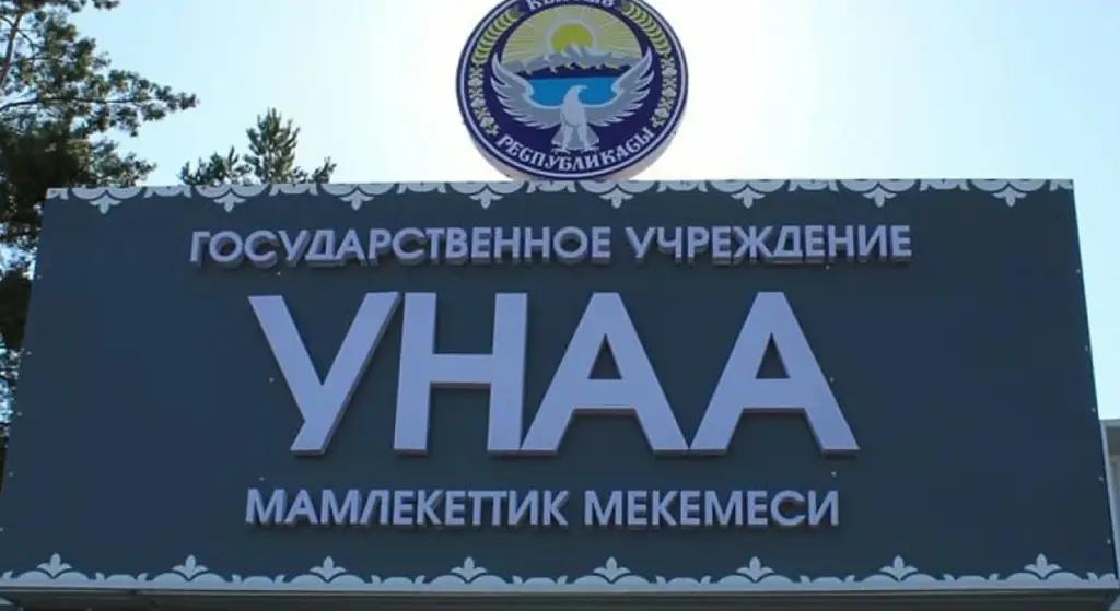 В МВД сообщили, как будет работать ГУ «Унаа» в выходные