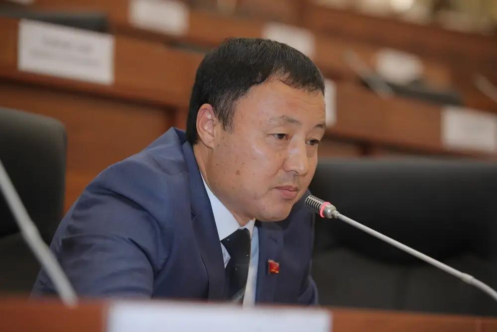 Депутат предложил оптимизировать расходы на выборы